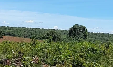 Fazenda à venda na Zona Rural, Cordisburgo 