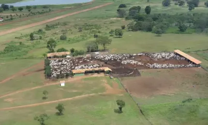 Fazenda à venda na Área Rural de Aroazes, Aroazes 