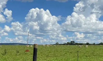 Fazenda à venda na Zona Rural, Caetanópolis 