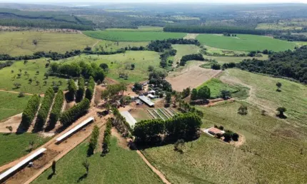Magnífica Fazenda leiteira na região de Felixlândia.