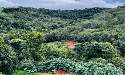 Terreno à venda em Casa Grande-MG: 7,50 hectares no centro da cidade!