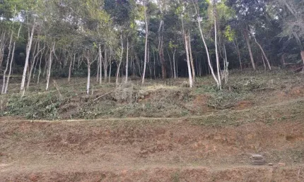 Terreno à venda na Avn Dos Academico, Centro, Piraí