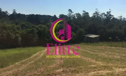 Chácara / sítio à venda na Estrada Dionizio Cardoso de Lima, Neópolis, Gravataí