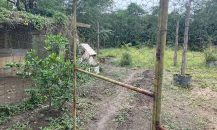 Terreno à venda no Jardim Virgínia, Guarujá 