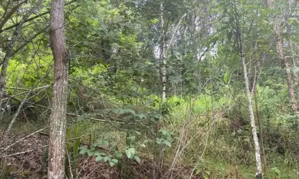 Chácara / sítio à venda na Vila Thais, Atibaia 