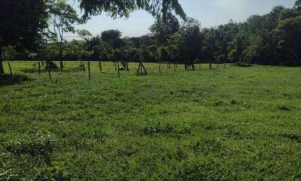 Chacara com córrego e nascente. 13 km de Campo Grande.