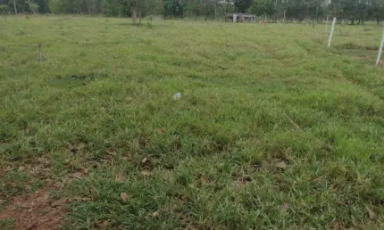 Chácara / sítio com 3 quartos à venda na Rua Orlando Nogueira, Zona Rural, Jaraguari