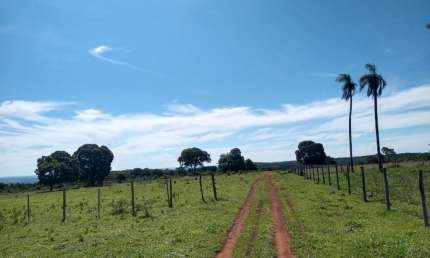 Fazenda à venda na Vila Santa Luzia, Campo Grande 