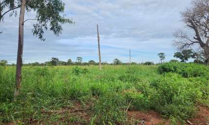 Chácara / sítio com 4 quartos à venda na Zona Rural, Jaraguari 
