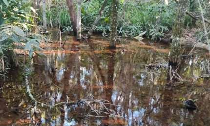 Chácara / sítio com 2 quartos à venda na Zona Rural, Jaraguari 