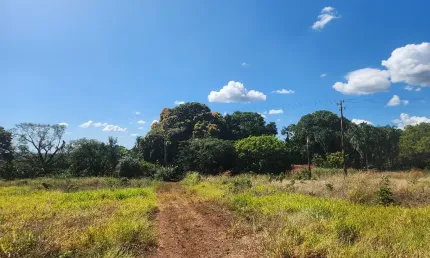 Chácara / sítio com 3 quartos à venda na Zona Rural, Jaraguari 