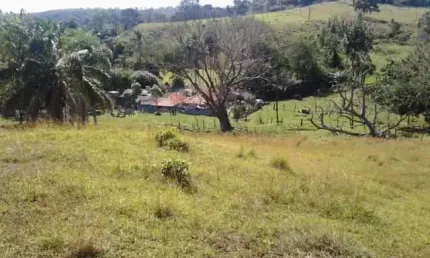 Chácara / sítio com 3 quartos à venda na Zona Rural, Jaraguari 