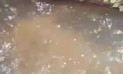 Chácara / sítio com 2 quartos à venda na Rua Orlando Nogueira, 000, Zona Rural, Jaraguari