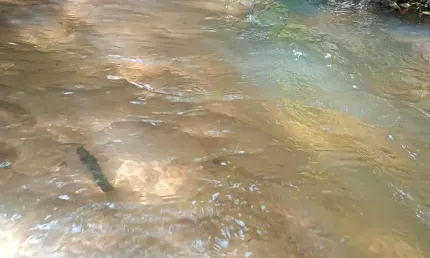 Chácara / sítio com 3 quartos à venda na Zona Rural, Jaraguari 