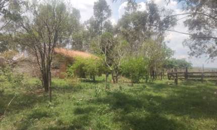 Chácara / sítio com 2 quartos à venda na Zona Rural, Jaraguari 