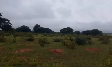 Chácara / sítio à venda na Rua Orlando Nogueira, Zona Rural, Jaraguari