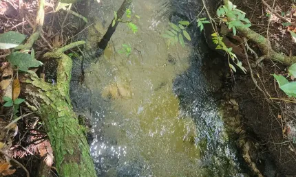 Chácara / sítio à venda na Zona Rural, Jaraguari 