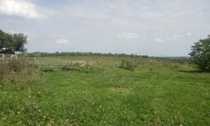Fazenda com 2 salas à venda na Zona Rural, Ribas do Rio Pardo 