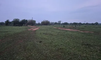 Chácara / sítio com 2 quartos à venda na Rua Orlando Nogueira, 0001, Zona Rural, Jaraguari