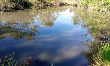 Chácara / sítio com 3 quartos à venda na Zona Rural, Jaraguari 
