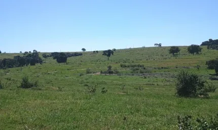 Chácara / sítio com 4 quartos à venda na Zona Rural, Jaraguari 