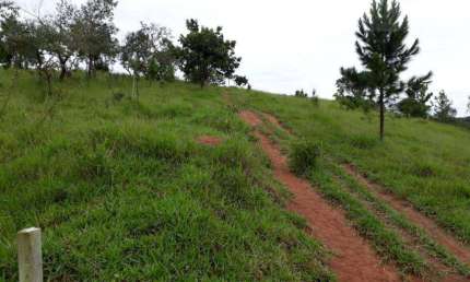 Terreno comercial à venda em Campo Largo, Jarinu 