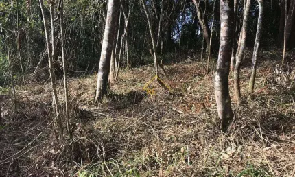 Terreno à venda, 1375 m² - Jardim Cinco Lagos - Mairiporã/SP