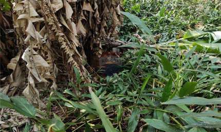 Grande Terreno à Venda em Botujuru, Campo Limpo Paulista