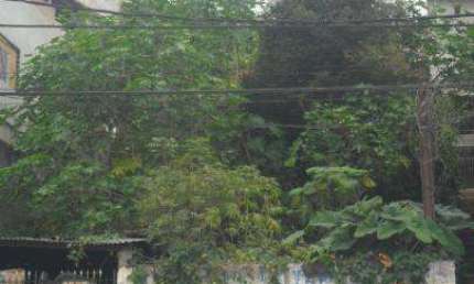 Terreno à venda no Baronesa, Osasco 