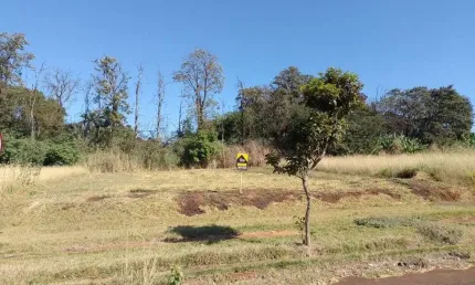 Terreno à venda na Rua Tranquilo Morgon, Jardim São Basílio, Maringá