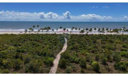Área Pé na Areia à Venda no Extremo Sul da Bahia – Oportunidade Imperdível
