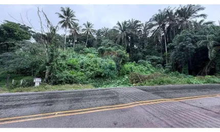 Terreno para investimento ou casa de veraneio em santo andré – 2.147 m²