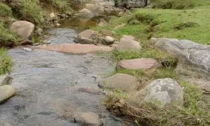 Chácara / sítio com 2 quartos à venda no Braço, Camboriú 