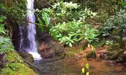 Chácara / sítio à venda em Oliveira, Tijucas 