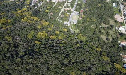 Terreno comercial à venda na Praia do Estaleiro, Balneário Camboriú 