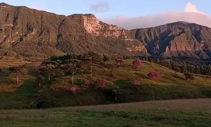 Chácara / sítio à venda no Centro, Santa Rosa de Lima 