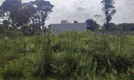Terreno comercial à venda no Brandalize, Itapoá 