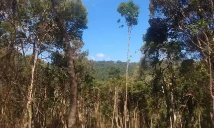 Terreno comercial à venda na Zona Rural, Rancho Queimado 