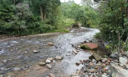 Chácara / sítio com 1 quarto à venda no Centro, Santa Rosa de Lima 