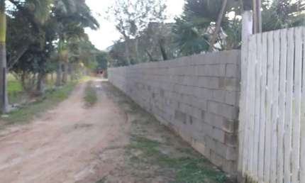 Chácara com 600 tipos de Plantações pelo terreno! Com 5 dormitórios em Canelinhas/SC.