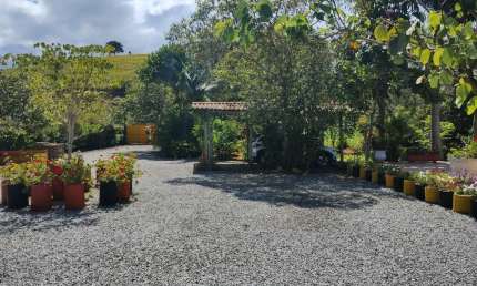 Chácara / sítio com 2 quartos à venda no Braço, Camboriú 