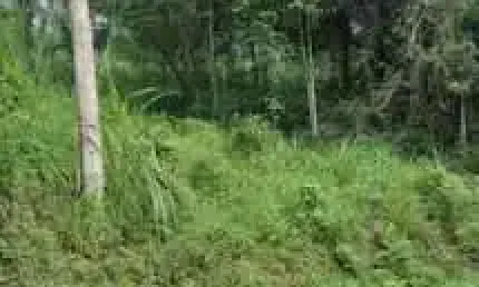 Lote com 656,6m2 no bairro da velha em blumenau- sc