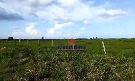 Fazenda com 1 dormitório à venda, 22120000 m² por R$ 46.100.000,00 - Jardim Tropical - Imperatriz/MA