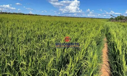 Fazenda com 1 sala à venda na ÁRea Rural, 1, Zona Rural, Anapu