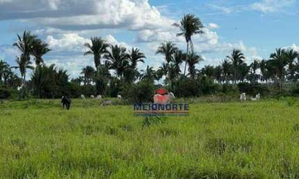 Fazenda com 1 dormitório à venda, 14400000 m² por R$ 2.500.000,00 - Arari - Zona Rural - Arari/MA