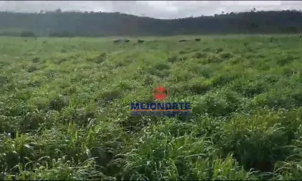Fazenda com 1 dormitório à venda, 10000 m² por R$ 37.400.000,00 - Centro - Bom Jesus das Selvas/MA