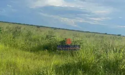 Fazenda com 1 dormitório à venda, 17153601 m² por R$ 17.160.000,00 - Área Rural - Floriano/PI