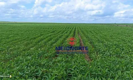 Fazenda com 1 dormitório à venda, 30250000 m² por R$ 100.000.000,00 - Santa Filomena - Santa Filomena/PI