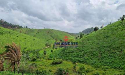 Fazenda à venda, 5480000 m² por R$ 4.000.000,00 - Centro - Alto Alegre do Maranhão/MA