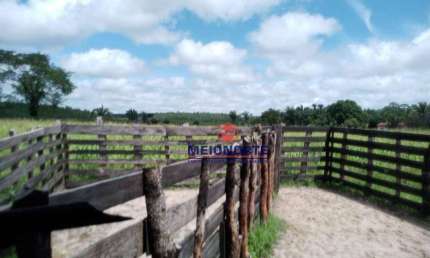 FAZENDA À VENDA – 200 HECTARES EM REGIÃO ESTRATÉGICA